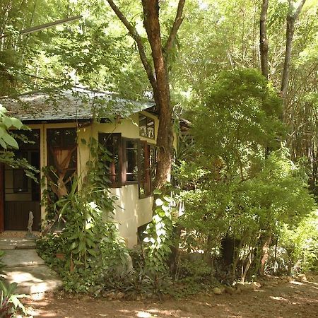 Momchailai Forest Retreat Kanchanaburi City Exterior photo
